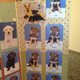 Illustration for article titled Guide dog names
